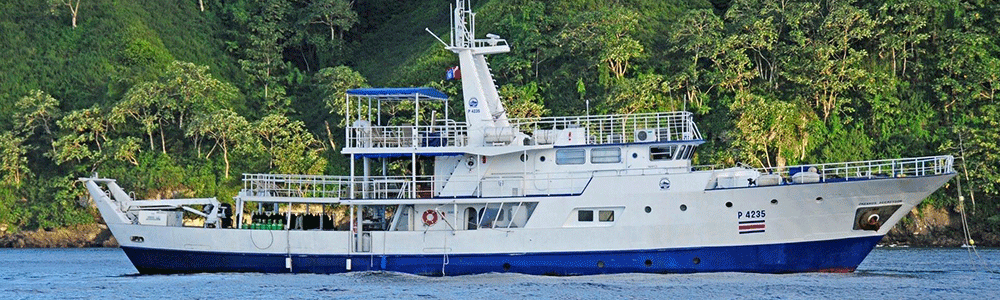 33 Meter lange Motoryacht Okeanos Aggressor der Aggressor Fleet