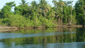 Corcovado